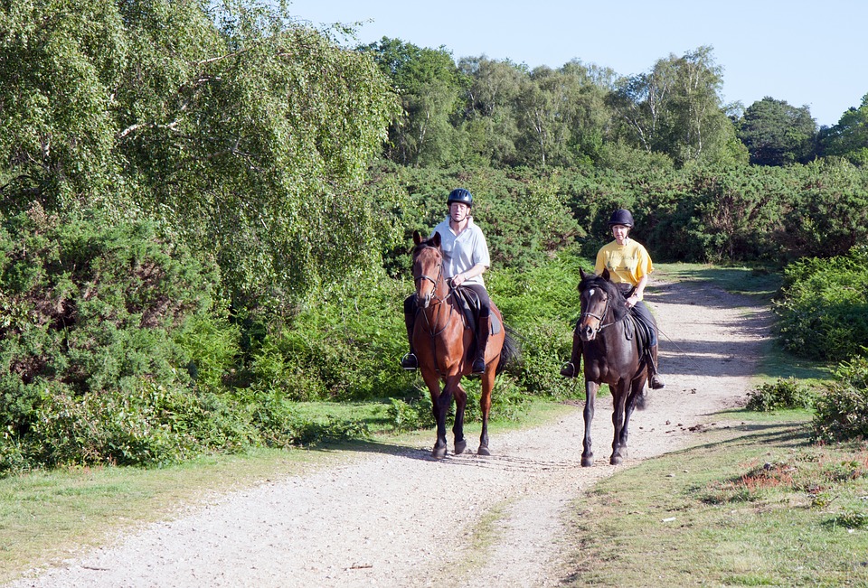 imagem-de-duas-pessoas-andando-a-cavalo