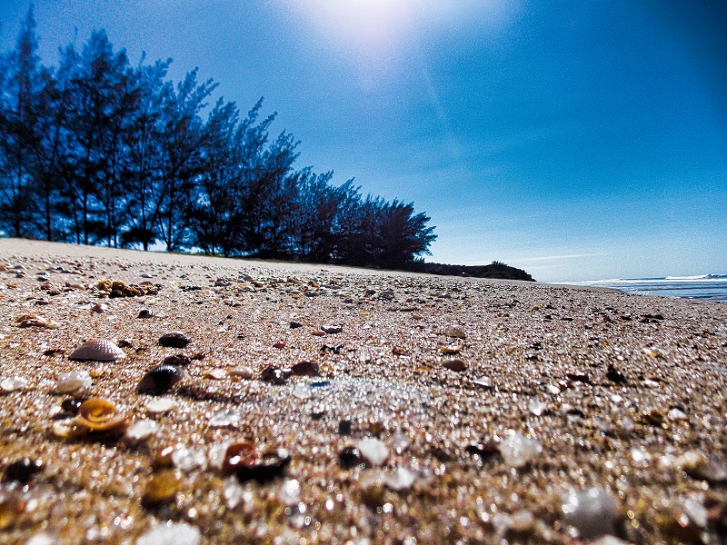 foto-de-conchas-do-mar-em-areia-da-praia