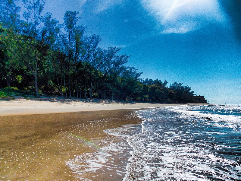 foto-da-praia-com-ondas-calmas e sua-vegetação