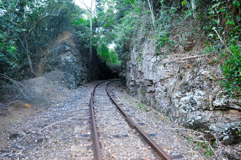 foto-de-linha-férrea-abandonada-com-paredões-de-rocha-e-vegetação