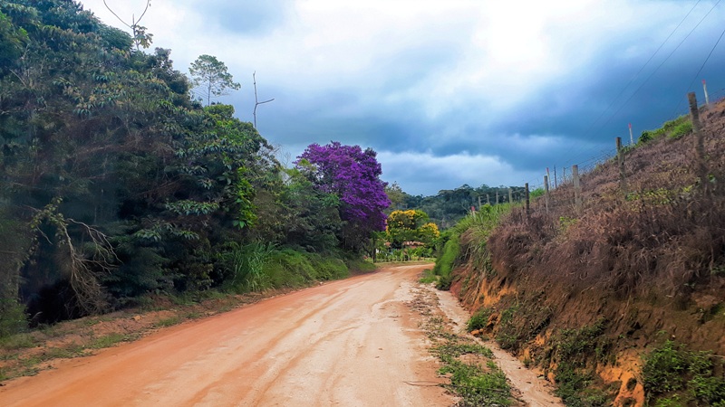 foto-de-estrada-de-chão-batido-com-diversas-arvores-no percurso-do-circuito-caravaggio