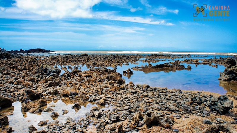 foto-mostra-diversos-recifes-na-areia-da-praia