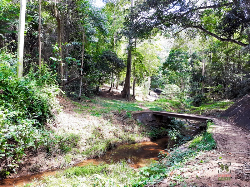 foto-mostra-ponte-para-atravessar-pequeno-riacho-da-cascata-ibiraçui-es