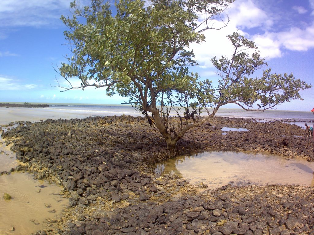 praia-de-gramuté-aracruz-es