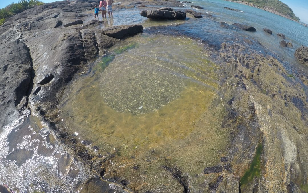 PIÚMA ES PRAIAS E ILHA DO GAMBÁ