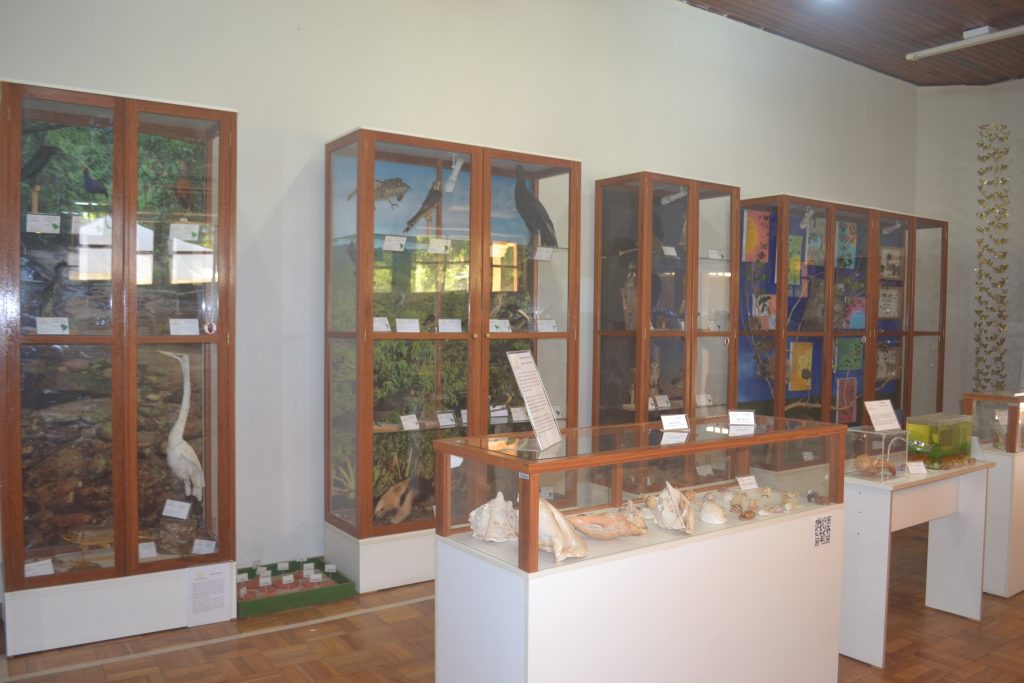 museu-de-história-natural-do-espírito-santo-em-jerônimo-monteiro-es