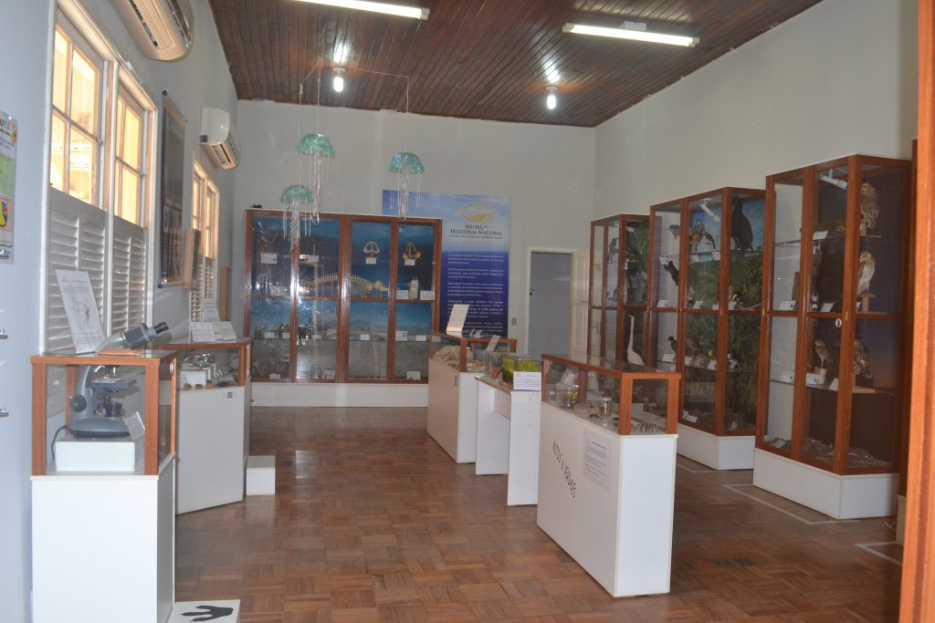 museu-de-história-natural-do-espirito-santo-em-jeronimo-monteiro-es