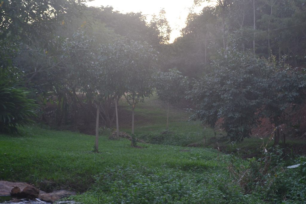 sitio-três-moinhos-em Jerônimo-monteiro-es