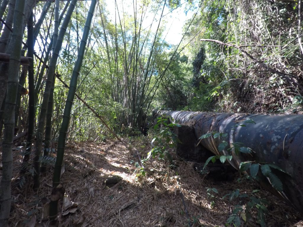 trilha-para-a-cachoeira-de-mangaravite-em-bom-jesus-do-norte-es