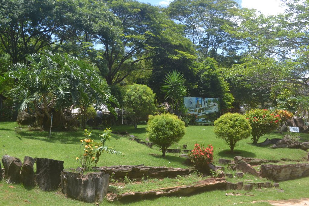 parque-recanto-do-jacaré-em-águia-branca-es