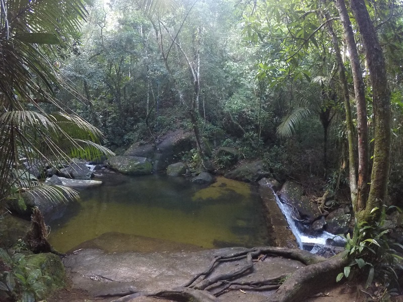 trilha-cachoeira-véu-de-noiva-em-ubatuba