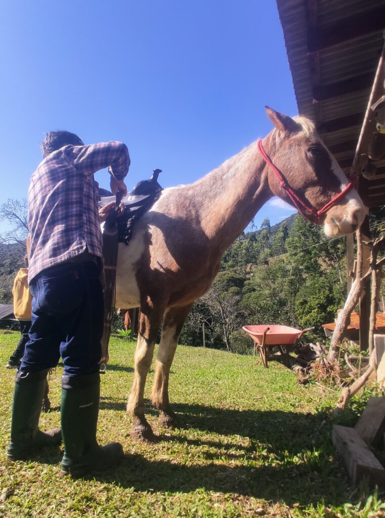 hospedagem-sitio-vô-airton-na-região-do-alto-itajaí-em-santa-catarina