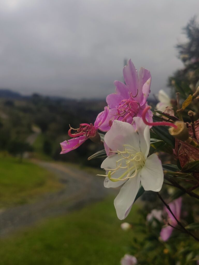 Hospedagem-sitio-vô-airton-na-região-do-alto-itajaí-no-município-do-Chapadão-do-lageado-em-santa-catarina